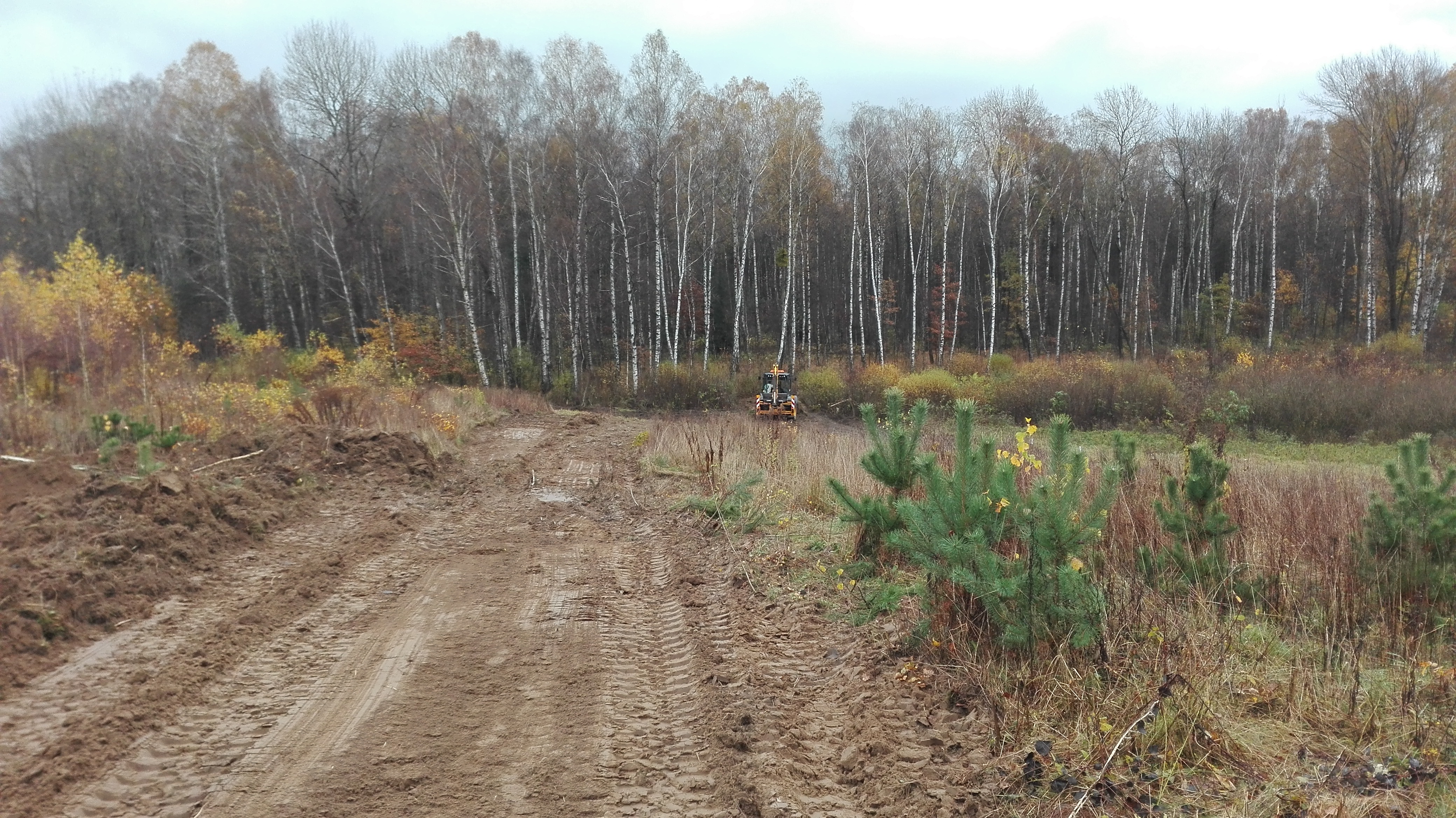 Marcinkowo-Zasoby piasku przy kopalni