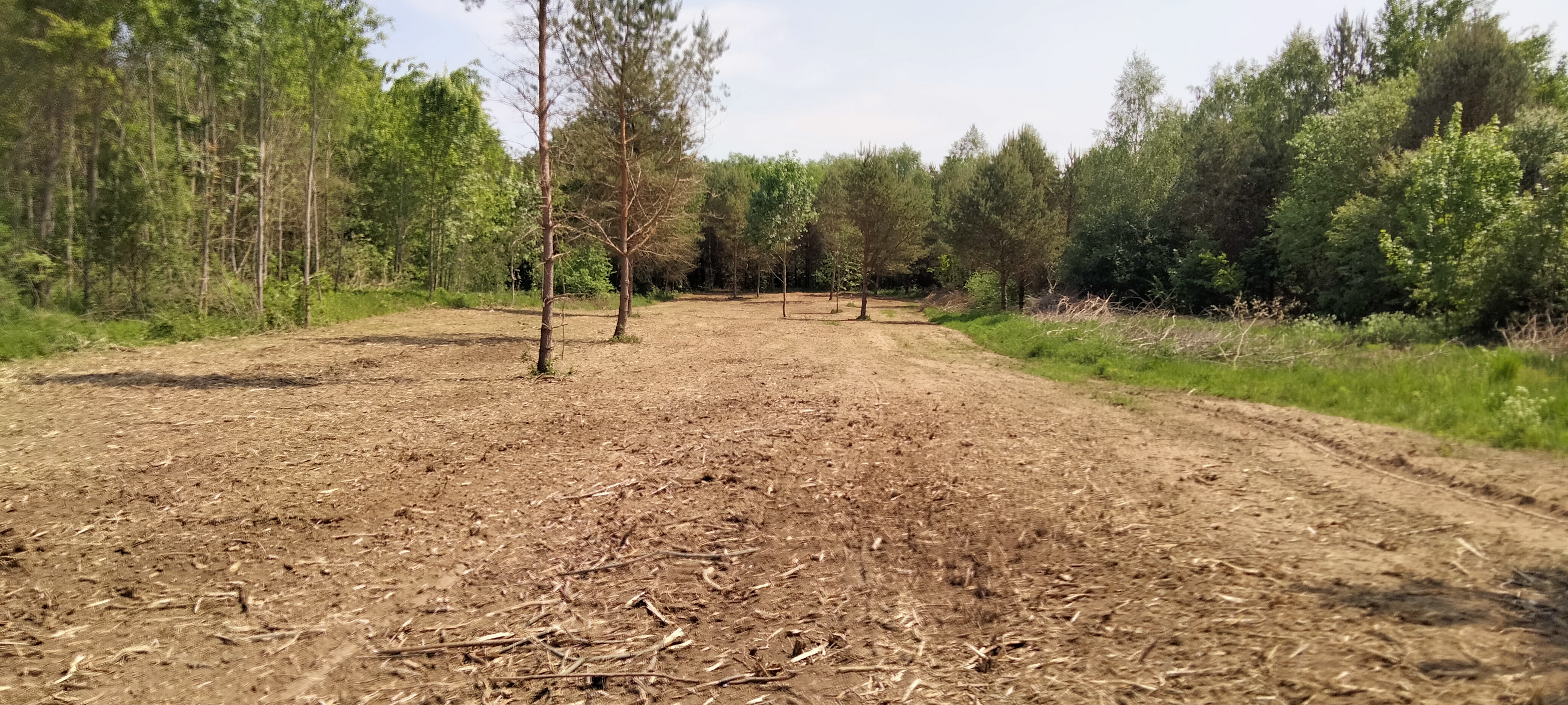 Elgnowo, g. Dąbrówno; 2 małe działki