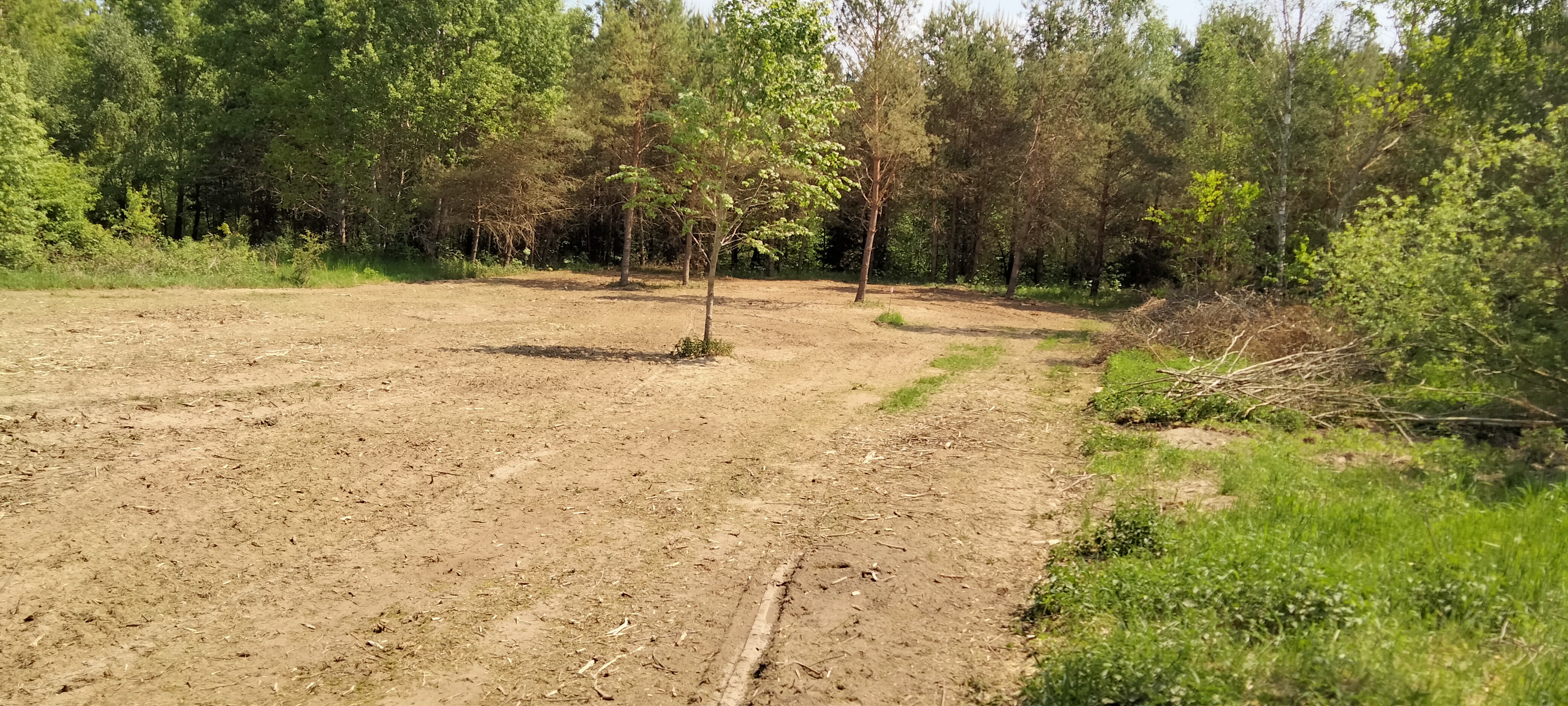 Elgnowo, g. Dąbrówno; 2 małe działki