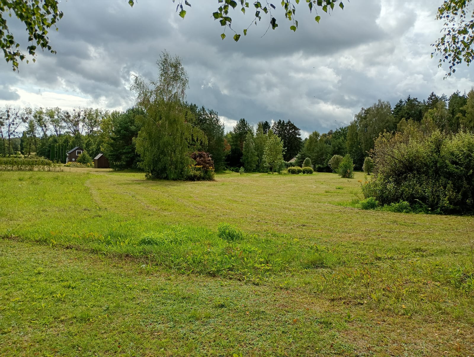 5 x 3300m2 działki w parku